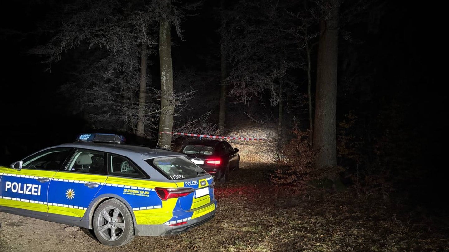 Abgestürztes Kleinflugzeug bei Geisingen - Experten sind vor Ort