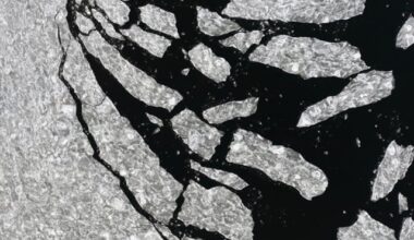 Top climate scientist declares 2C climate goal 'dead'