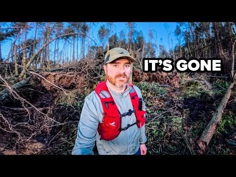 The Problem With Ireland's Trees Exposed by Storm Éowyn
