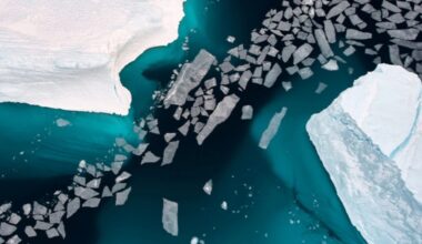 January 2025 breaks heat record as climate change ‘overwhelms’ La Niña’s cooling | NEWS
