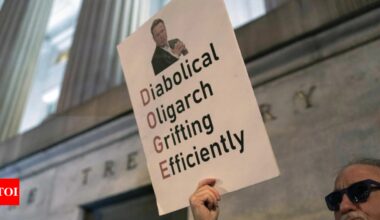 What is Elon Musk's DOGE? Why is Trump-made cost-cutting team has Americans worried?