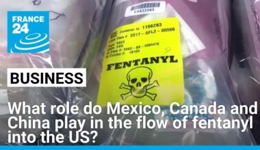 What role do Mexico, Canada and China play in the flow of fentanyl into the US? • FRANCE 24