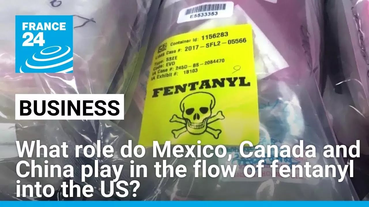 What role do Mexico, Canada and China play in the flow of fentanyl into the US? • FRANCE 24