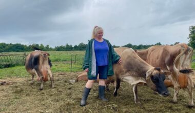 Hester Chase lives and works on her family
