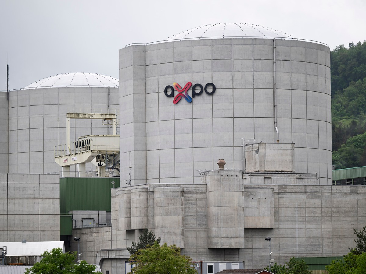 Swiss nuclear power plant partly shut down due to error