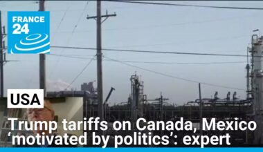 Trump tariffs on Canada, Mexico ‘motivated by politics’, expert says • FRANCE 24 English