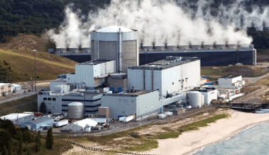 The Nuclear Regulatory Commission emphasized the need for thorough safety evaluations and regulatory approvals before the Palisades plant in Michigan can be safely restarted. (Holtec International)