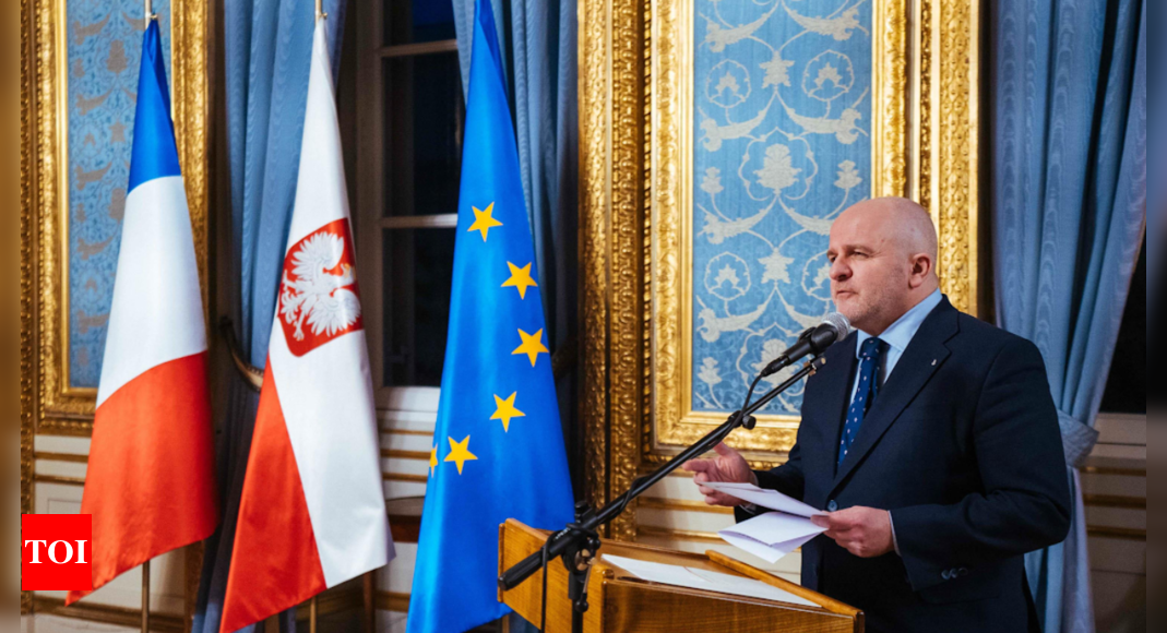 Nato invitation, faster EU talks vital for Ukraine; Trump to seek solutions, India crucial for post-war recovery: Polish delegation head | India News