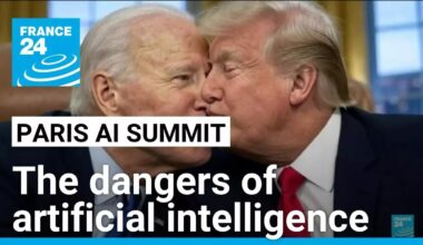 A ‘Trojan horse’? The dangers of a world run by AI • FRANCE 24 English