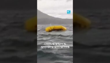 🐋 🚣 #Chili : un #kayakiste se fait engloutir par une #baleine • FRANCE 24