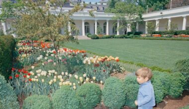 President Trump Is Reportedly Planning to Pave Jackie Kennedy's Historic White House Rose Garden