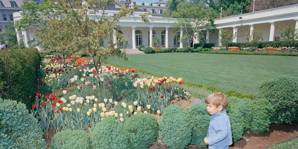 President Trump Is Reportedly Planning to Pave Jackie Kennedy's Historic White House Rose Garden