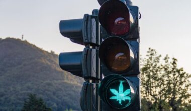 Switzerland Moves To Legalize Recreational Cannabis With A State-Controlled Monopoly