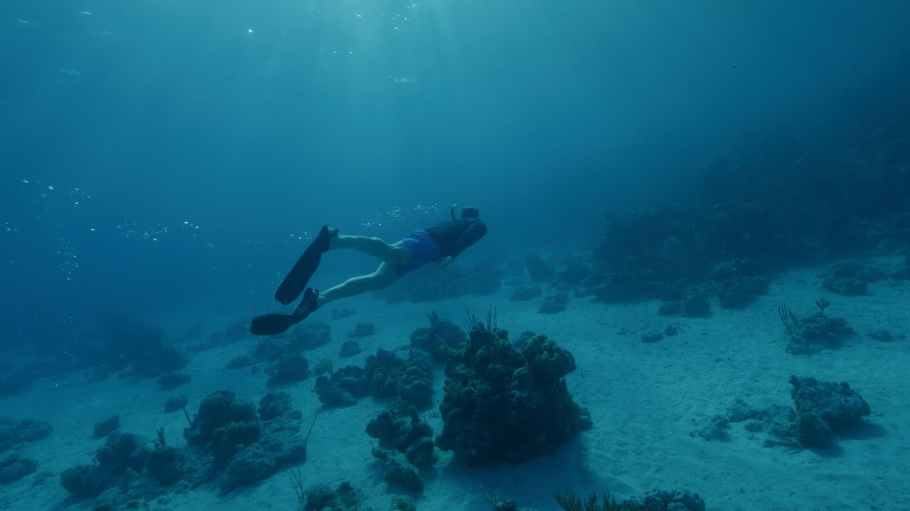 The Prince and Princess of Wales go diving with 2021 #EarthshotPrize winner Coral Vita - YouTube