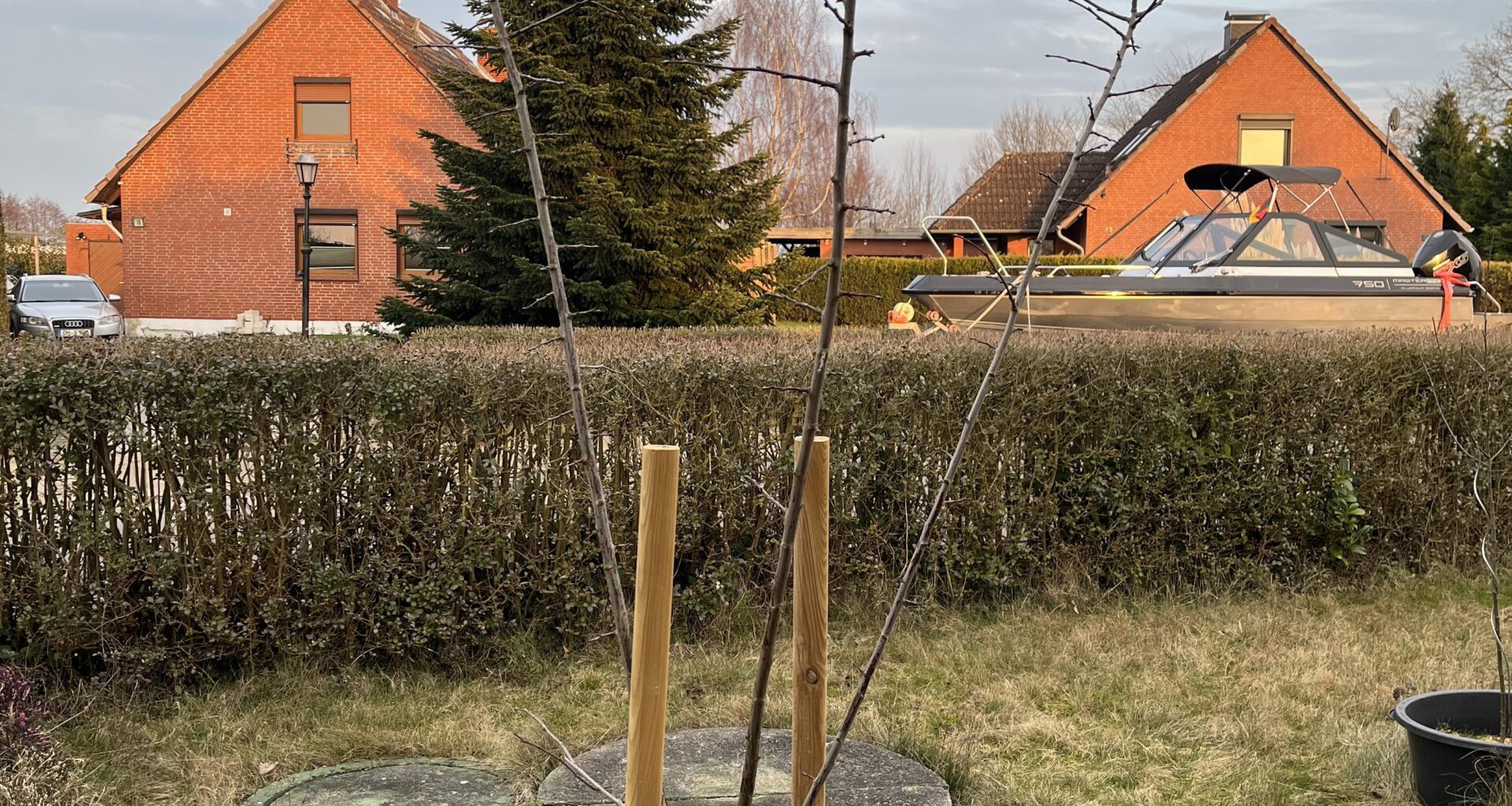 Brauche Hilfe beim Obstbaumschnitt