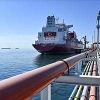 Global LNG boom to benefit Türkiye, Europe, Asia: IEA chief