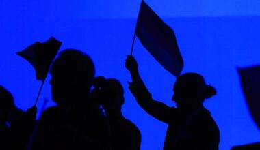 Opposition im Bundestag: Welche Rechte die AfD als stärkste Oppositionspartei im Bundestag hat