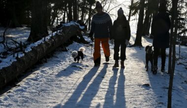 Finland faces unusually warm winter, but cold may return