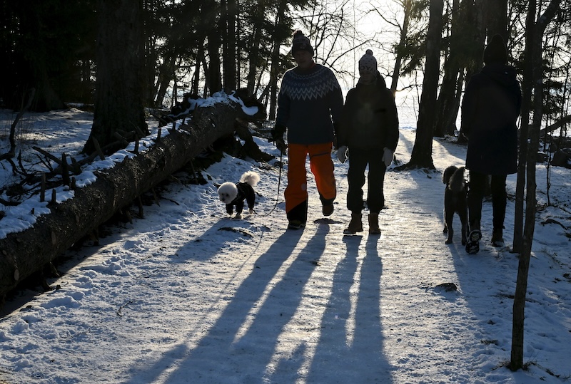 Finland faces unusually warm winter, but cold may return
