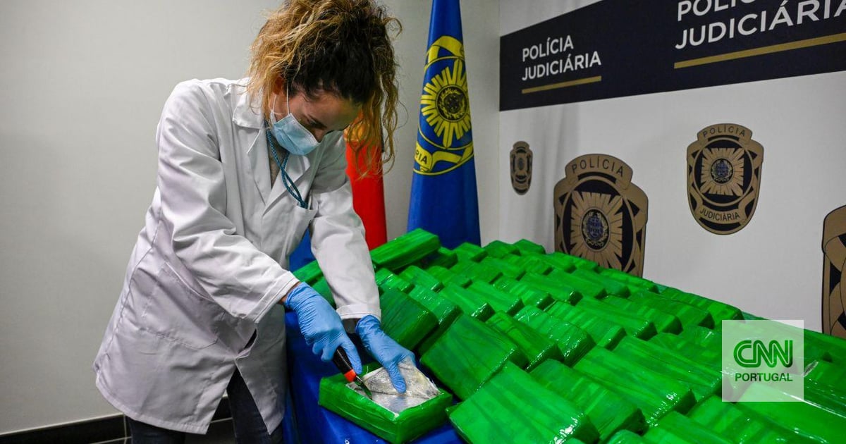Exclusivo. Corrupção nos portos: operação da PJ ataca funcionários que deixam passar cocaína dos grandes cartéis 