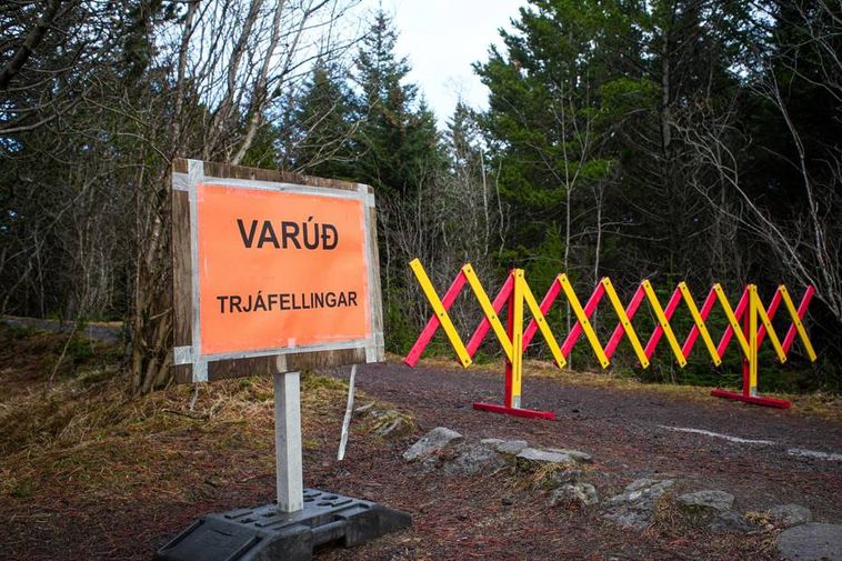 Large meeting about Reykjavik airport