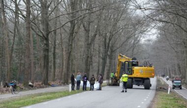 Drie berberapen ontsnapt uit Apenheul: 'Zaten rustig in boom'