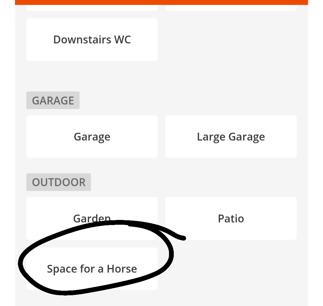 "Room for a horse" filter on PropertyPal - can't get more Northern Irish than that