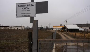 The former agricultural cooperative in Beša, rented by the company Prodest. Antonino Vadala and Pietro Catroppa run a bull farm there.