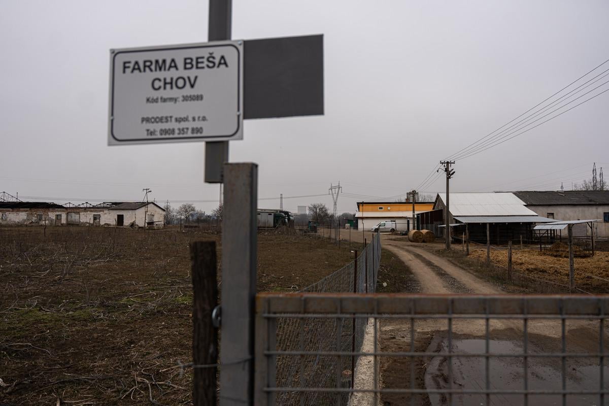 The former agricultural cooperative in Beša, rented by the company Prodest. Antonino Vadala and Pietro Catroppa run a bull farm there.