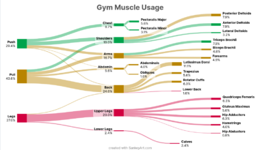 [OC] Gym Muscle Usage