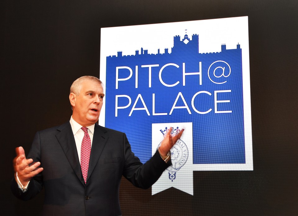 Prince Andrew speaking at a Pitch@Palace event.
