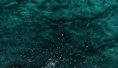 Ocean