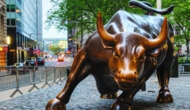 Bull