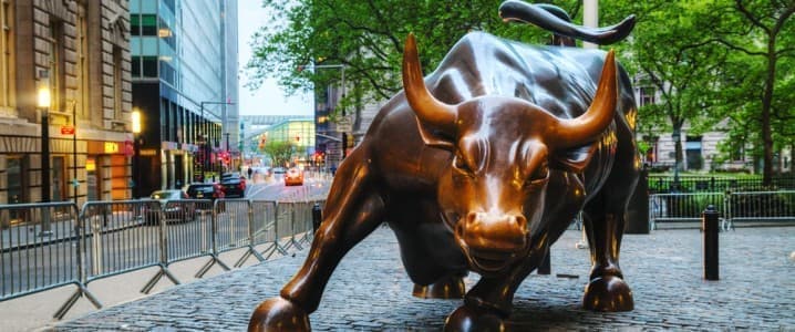 Bull