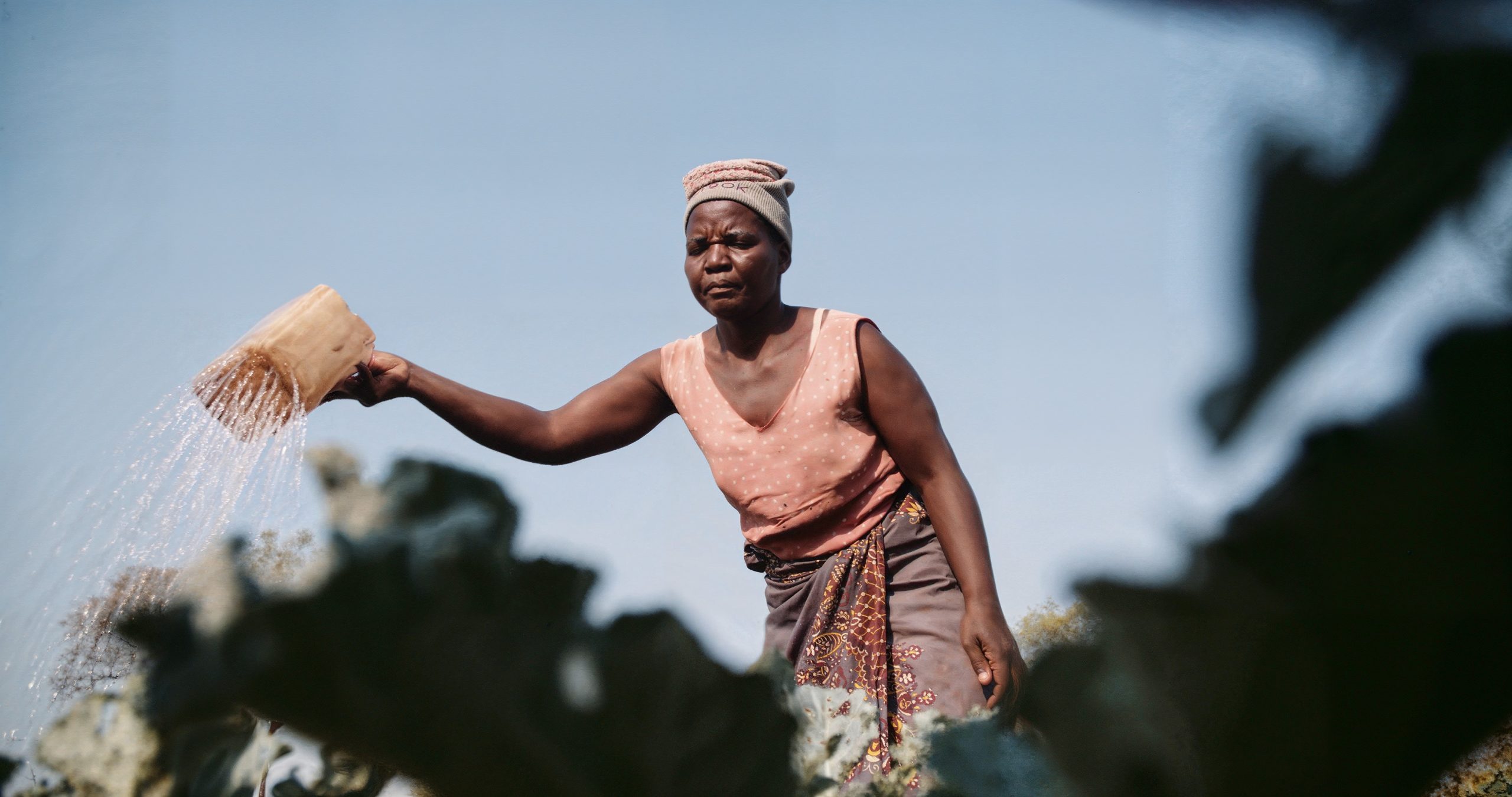 a woman is watering a vegetable garden