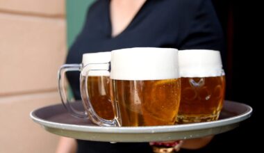 Cheers! Czech beer culture given status of ‘intangible cultural heritage’