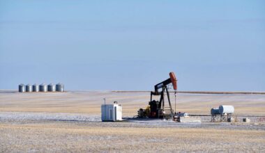 Oil steady as investors digest new U.S. steel, aluminium tariffs