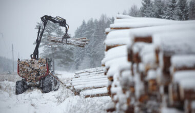 Warm winter has seen less timber stockpiled than usual in Estonia | News