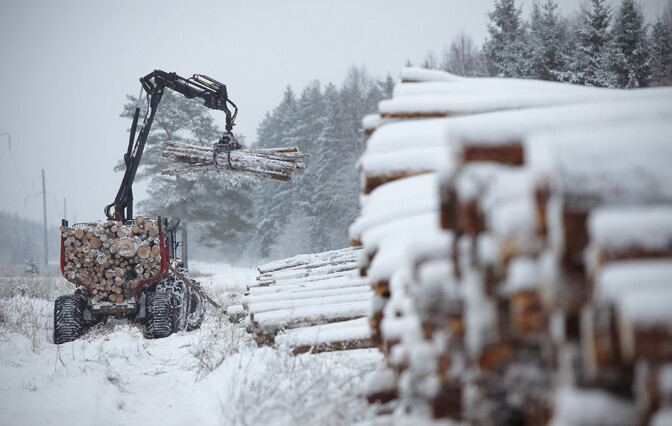 Warm winter has seen less timber stockpiled than usual in Estonia | News