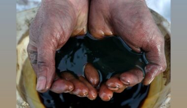 Oil India Profit Drops 23% on Lower Oil Prices - Q3 FY25