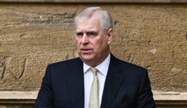 Prince Andrew earns cash from start-up conference network