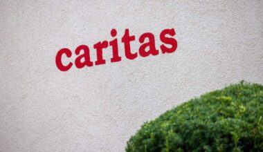 Logo lt
