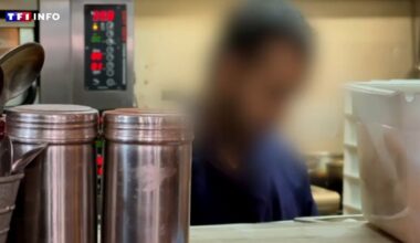 Fraudes dans la restauration : les inspecteurs de l'Urssaf mettent les bouchées doubles contre le travail dissimulé | TF1 INFO