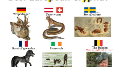 Wolpertinger looks cool ngl