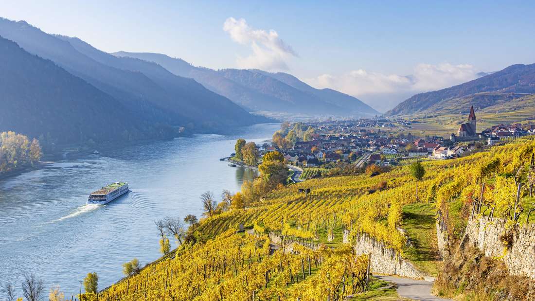 Ein Kreuzfahrtschiff fährt auf der Donau an einem Weinberg bei Weißenkirchen in der Wachau in Niederösterreich vorbei.