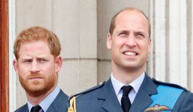 Prince Harry and Prince William 'very close to reunion' - Royals - News
