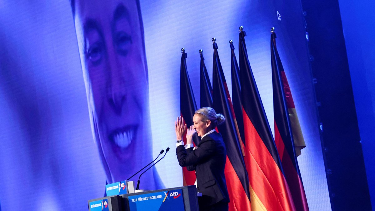 Turkish diaspora in Germany troubled by rise of far-right