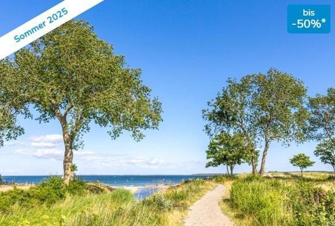 Allee an der Ostsee