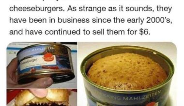Most delicious food in denmark