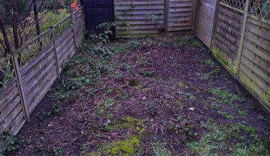 Erster Garten, Brachland herrichten